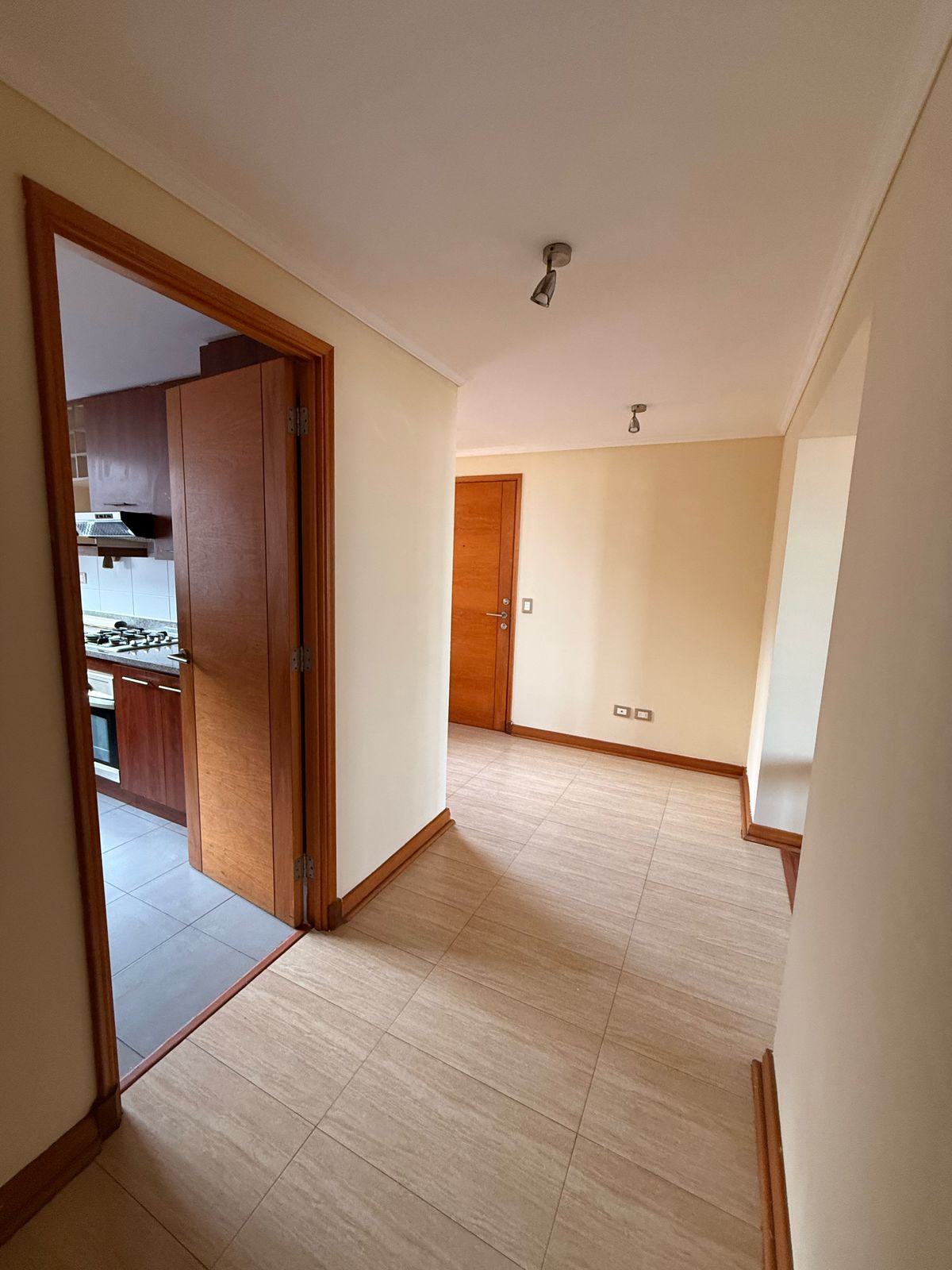Pasillo-Acceso-Imagen-2