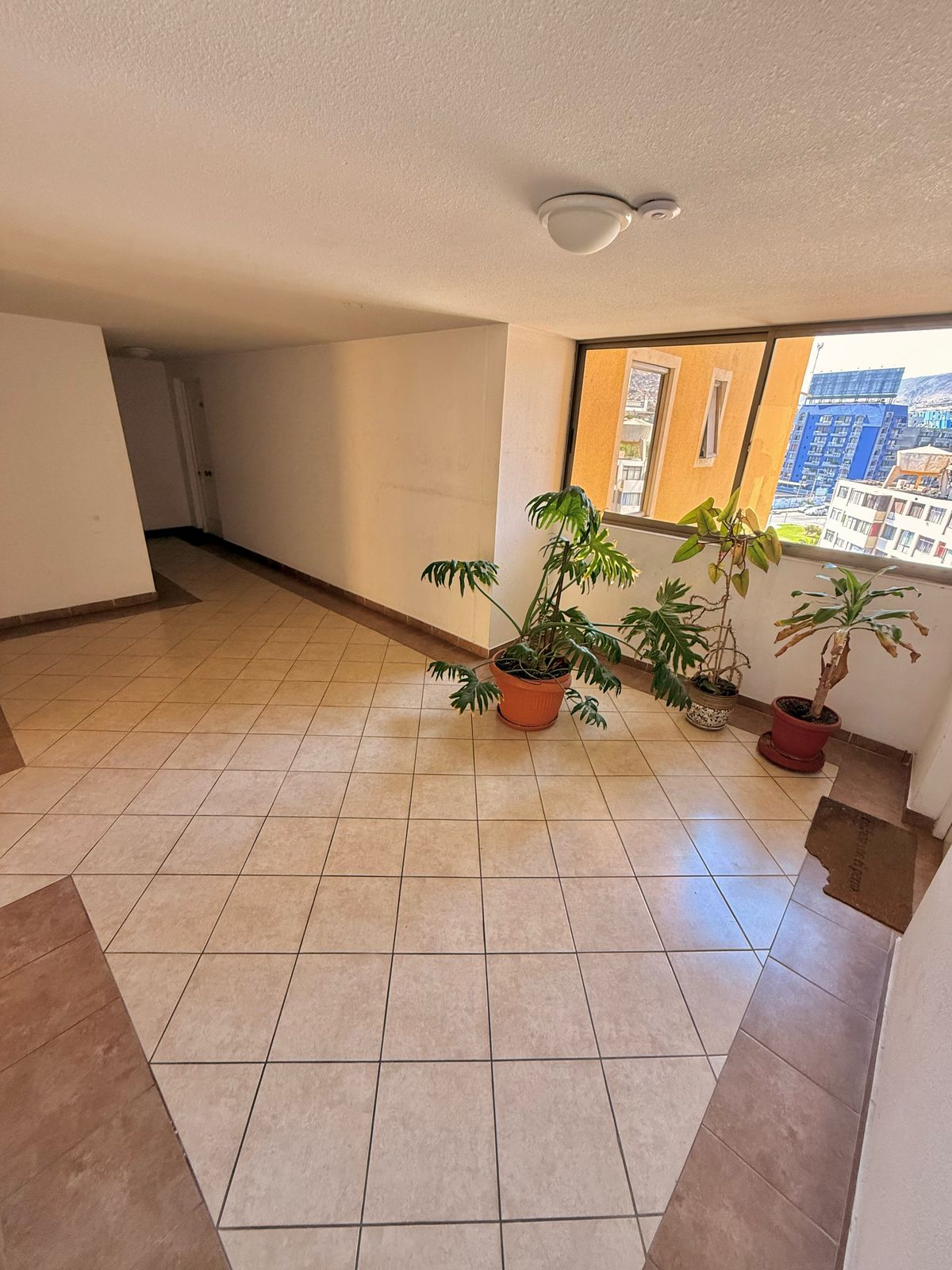 Piso-8